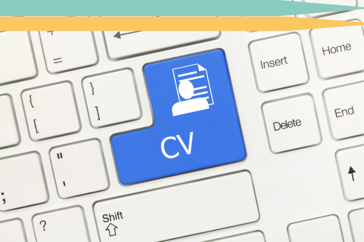 7 CATÉGORIES INCONTOURNABLES DU CV | POUR UN PROFIL SOLIDE